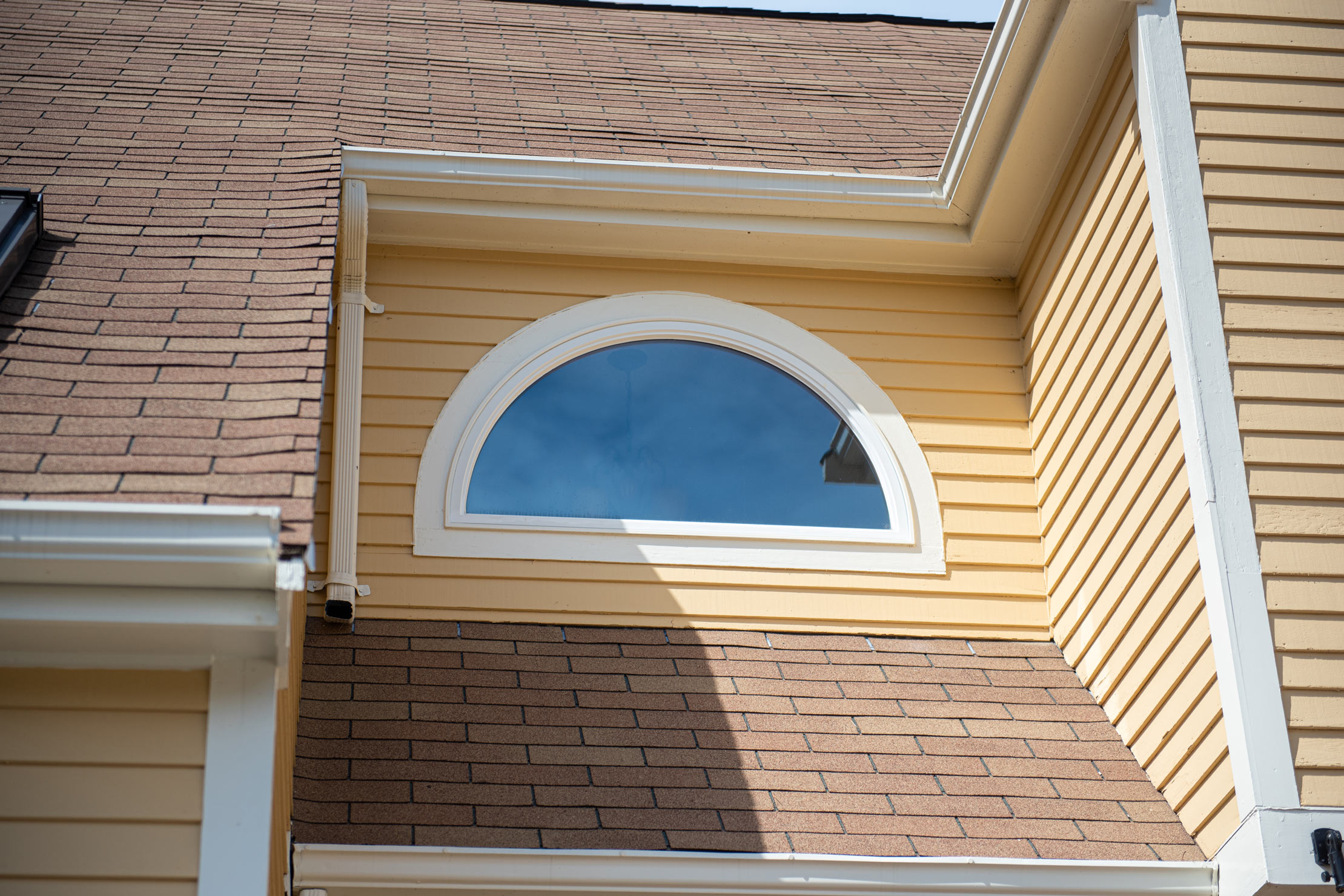 Shaped Windows Shaped Windows